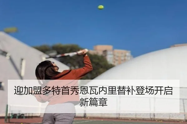 迎加盟多特首秀恩瓦内里替补登场开启新篇章